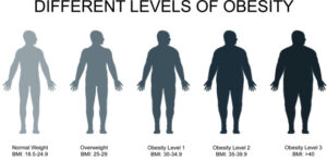 Stades de surpoids et d'obésité